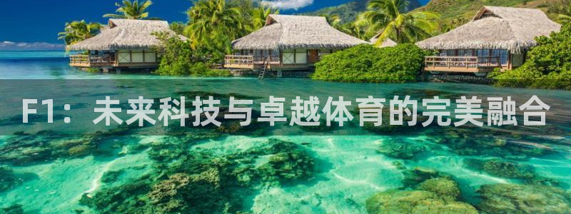 51视频在线直播nba：F1：未来科技与卓越体育的完美融合