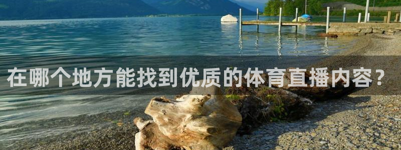 51视频在线直播nba：在哪个地方能找到优质的体育直播内容？