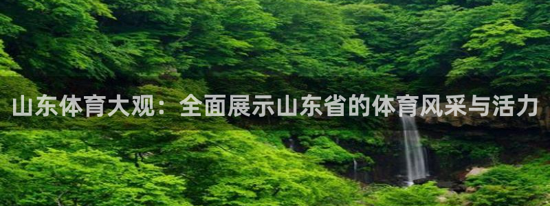 51视频在线直播nba：山东体育大观：全面展示山东省的体育风采与活力
