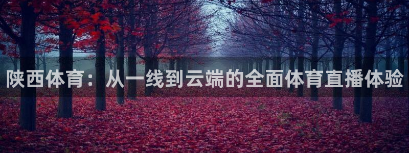 51视频在线直播nba：陕西体育：从一线到云端的全面体育直播体验