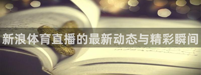 51视频在线直播nba：新浪体育直播的最新动态与精彩瞬间